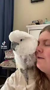 Olga Orr's Instagram, Twitter & Facebook