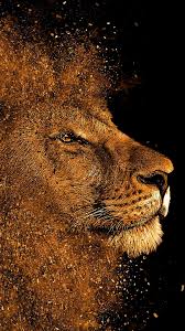 Fonds D Ecran Pour Iphone 11 Iphone 11 Pro Et Iphone 11 Pro Max In 2020 Lion Painting Lion Painting Art Lion Art