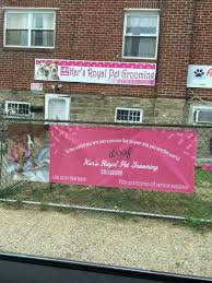 No driving all over town. Kar S Royal Pet Grooming Home Facebook