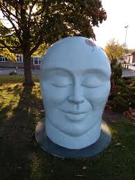 I'm wondering if any one can help with information regards wakefield  asylum, I'm doing my family tree and one of my family memebers died in  there, any pictures, lists of people? Were