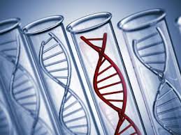 Tendencias Geneticas