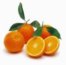 How To Grow Oranges In A Greenhouse Ehow Sweet Orange Essential Oil Orange Fruit Sour Orange