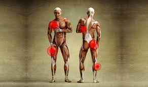 Muskelkater Effektives Training V Reena S Fitness Ernahrungs Blog