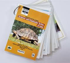 New Id Tools To Help Curb Illegal Trade Of Tortoises And