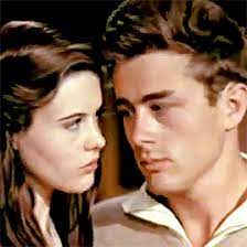 images?q=tbn:ANd9GcSucPFtSJFSBO9_aMFCo0m