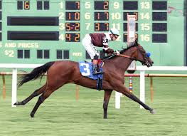 Jayocc xxx she has great looking with a fierce personality,