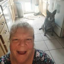 Dogs Playing Fetch and Sharing Balls