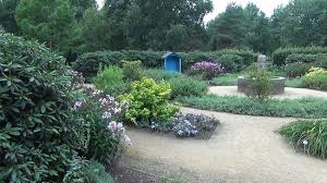 See more of botanischer garten und botanisches museum berlin on facebook. Rhododendronpark Botanischer Garten Picture Of Rhododendronpark Bremen Tripadvisor