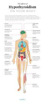 As a result, hair can rest too much while the growth phase shortens significantly, thus leading to hair loss, thinning, and even balding. Armour Thyroid Medication Side Effects And Precautions