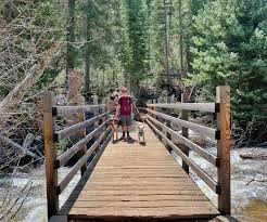 Exploring the Enchanting Spring Creek Trail in Steamboat Springs, Colorado