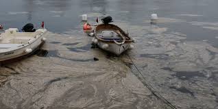 Bu sorunun yanıtını sizler için haberimizde derledik. Denizlerimizde Tedirgin Eden Goruntu Deniz Salyasi Panigi Kamp Yerleri