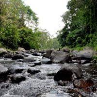 Strucid hack script pastebin 2021. 17 Tempat Wisata Terpopuler Di Solo Yang Harus Kamu Kunjungi Idnexplore