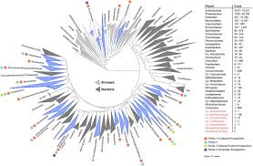 Art 9 comma 7 d.l. Large Scale Computational Discovery And Analysis Of Virus Derived Microbial Nanocompartments Biorxiv