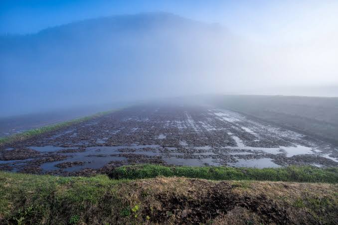 「朝霧　フリー　写真」の画像検索結果"