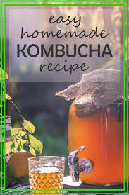 Kombucha Recipe 1 Gallon Fermenters Kitchen Recipe Kombucha Recipe Homemade Kombucha Kombucha