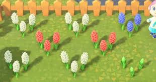 Pin By Ashley Murphy On Animal Crossing In 2020 Animal Crossing Animal Crossing Game Animal Crossing Qr