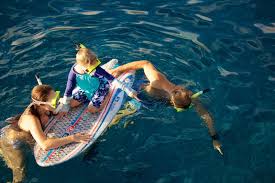 Image result for Kuloa michelsonii