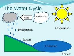 Water Cycle Chart For Class 4 Www Bedowntowndaytona Com