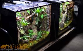 Glass Enclosures For Bioactive Terrariums Neherp Your One Stop Vivarium Shop