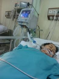 Halut leave a comment 179 views. Cahaya Foundation