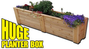 Up to three seeds can be placed in the planter. How To Build A Planter Box Free Plans Youtube