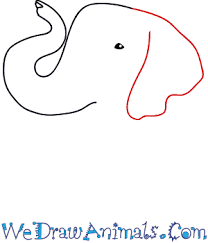 Add eyes, tusks, and wrinkle lines to the face and trunk, and sketch a tail off of the back of the oval. How To Draw An Elephant Face