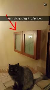 Pin By Ranoo Ranoo On Sweet Home Home Decor Sweet Home Decor