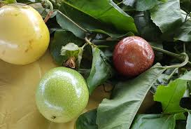 Exotic And Unusual Fruits Around The World