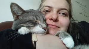 Lost cat in Woodinville area