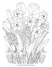 Free coloring pages / seasons / spring; Spring Coloring Pages Free Printable Pdf From Primarygames