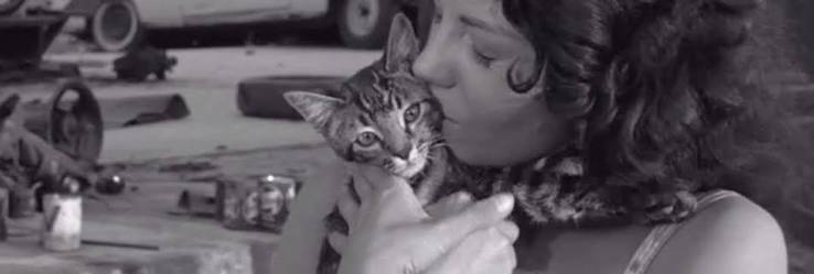 The Sadist (1963) - Cinema Cats