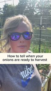 Onion harvest is here and just in time to clear out thise beds to plant the  tomatoes! #parkerpastures #gardening #gardening101 #growyourownfood  #backyardgarden #backyardgrocerystore #gardeningtips ...