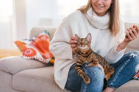 It turns out that cheek rubs are cats' way of making you family, so we reached out to the experts to learn more. Why Does My Cat Lay On Me K H Pet Products