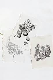 The four different variations of your favorite palm leaf make for instant summer decorating ideas. 4 Beautiful Free Vintage Botanical Art Printables Gilded Stork