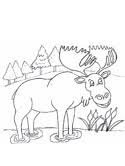 All mouse coloring pages can be downloaded or printed for free. Moose Coloring Pages