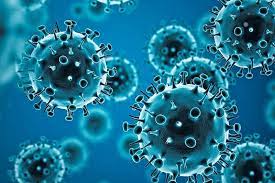 Ready for a big surprise? Coronavirus