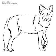 691x960 coyote coloring pictures kids coloring free printable coyote. Coyote Line Art Animal Spirit Guide Wolf Drawing Coloring Pages