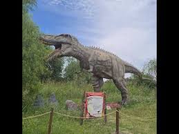 Jun 01, 2021 · si te diriges a litchfield park, puedes ver una muestra de las 600 especies de animales del wildlife world zoo, aquarium y safari park. Safari Jurasico Youtube
