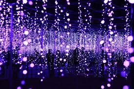 Ashikaga Flower Park Guide Lights Up At Night Starting In May Ashikaga Romantic Places Most Romantic Places