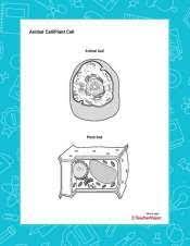 We hope you do not use it for commercial purposes. Animal Cell Plant Cell Blank Printable Printable 6th 12th Grade Teachervision