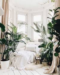 Bird Of Paradise Houseplant Care Bird Of Paradise Complete Care Guide That Planty Life In 2020 Room With Plants Creative Bedroom Indoor Plant Pots