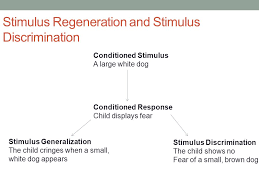 Learning Chapter Ppt Video Online Download