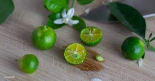 Limau kesturi (citrus microcarpa, english= calamasi) adalah berasal dari filipina, dan tersebar ke asia tenggara. Calamondin Limau Kasturi Aka Calamansi Limes