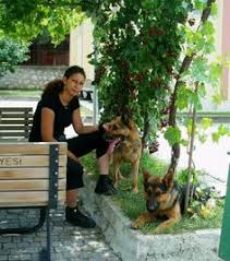 Fistik Ile Egitim Zamani Ugur Kopek Egitim Merkezi Ugur Dog Training Center Pinterest