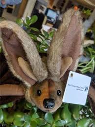 Of course, that's a terrible idea, but look how cute! Adopt A Bat Support Bats Bat Conservation Trust