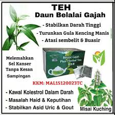 Daun kering kemudian dijadikan serbuk Teh Daun Belalai Gajah Daun Misai Kuching Penawar Diabetis Tekanan Darah Tinggi Kolestrol Gout Kanser Fibroid Shopee Malaysia