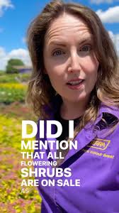 The Summer Madness SALE continues! You’ve been seeing our daily door  crashers, but there are LOADS of other items