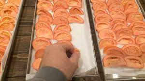 We made diced tomato, tomato soup. Harvest Right Freeze Dryer Tomatoes Youtube