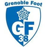Grenoble Foot 38 Company Profile Acquisition Investors Pitchbook