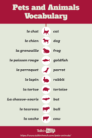 French Vocab Pets And Animals Talk In French Basic French Words French Language Lessons French Basics